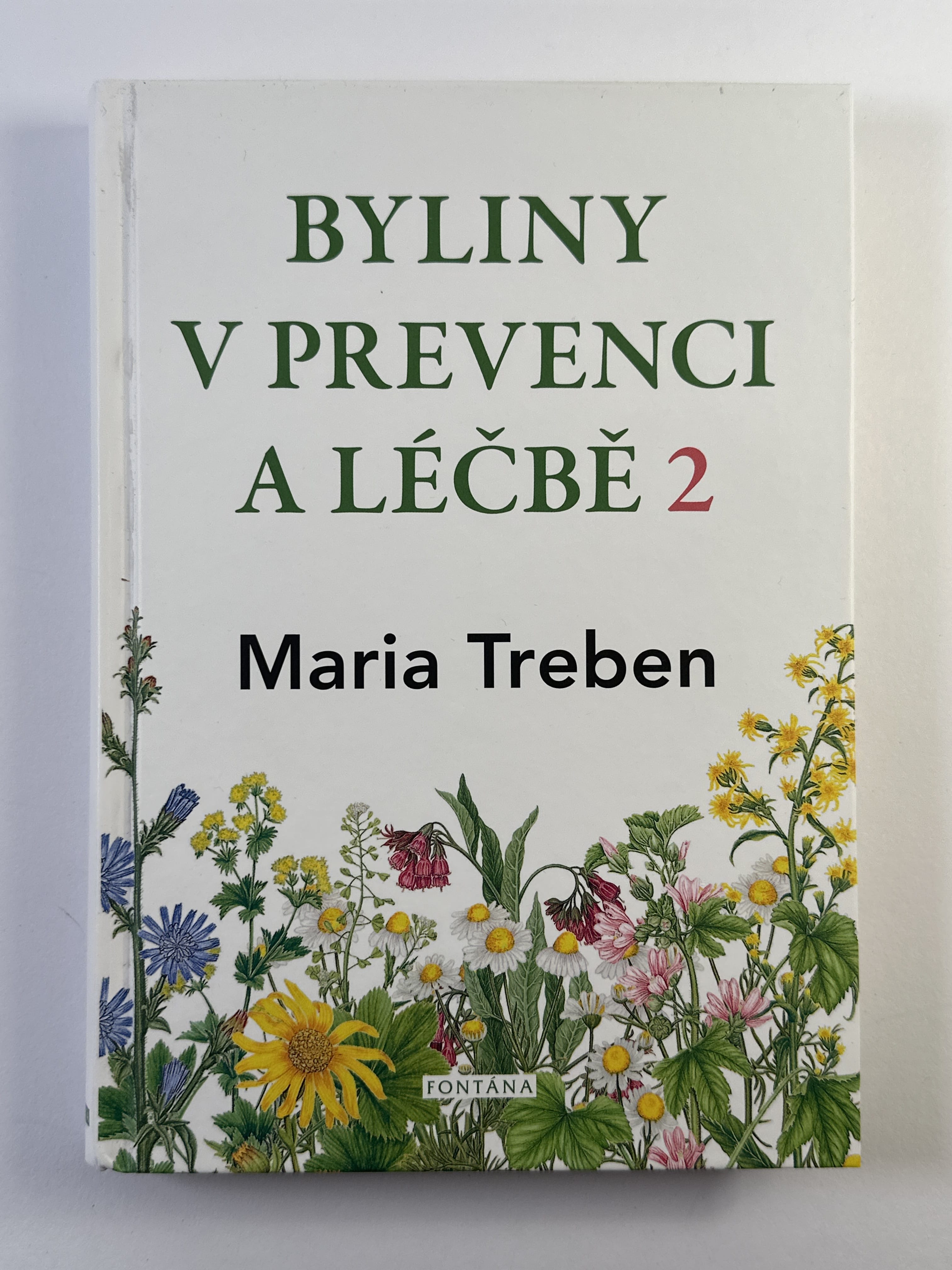 Levně Byliny v prevenci a léčbě: Žaludeční a střevní problémy (2)