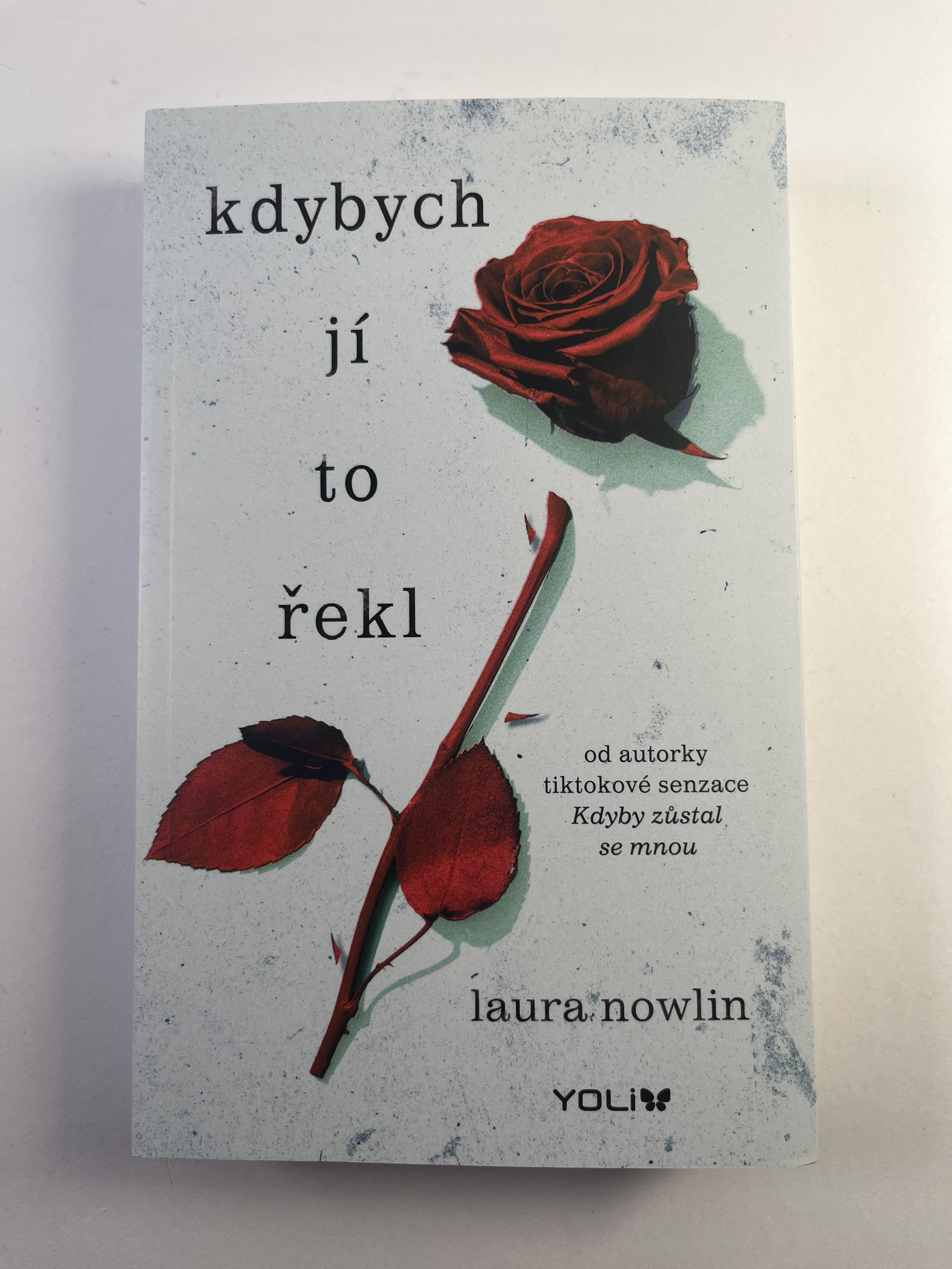 Levně Kdyby zůstal se mnou: Kdybych jí to řekl (2)