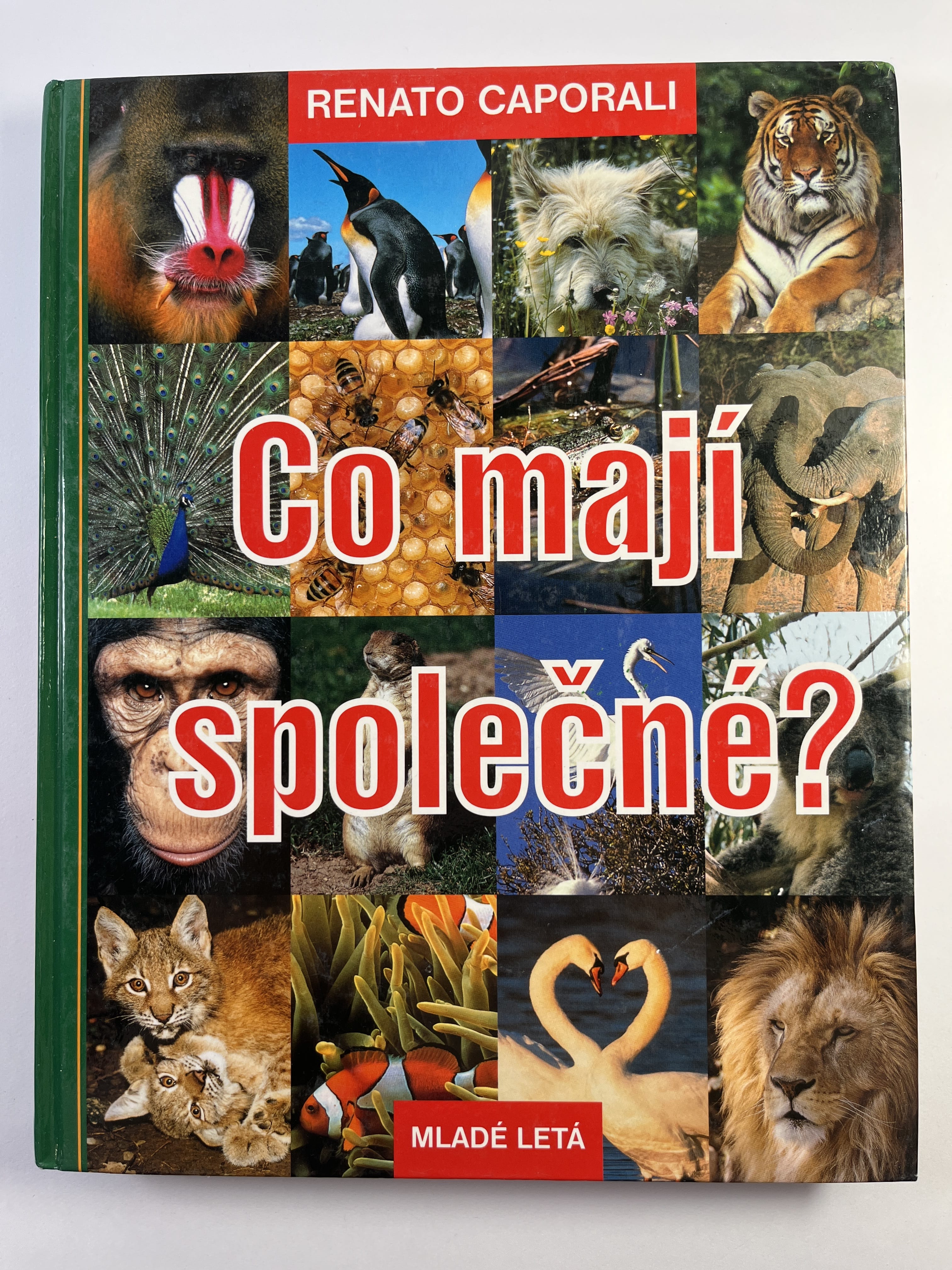 Levně Co mají společné?