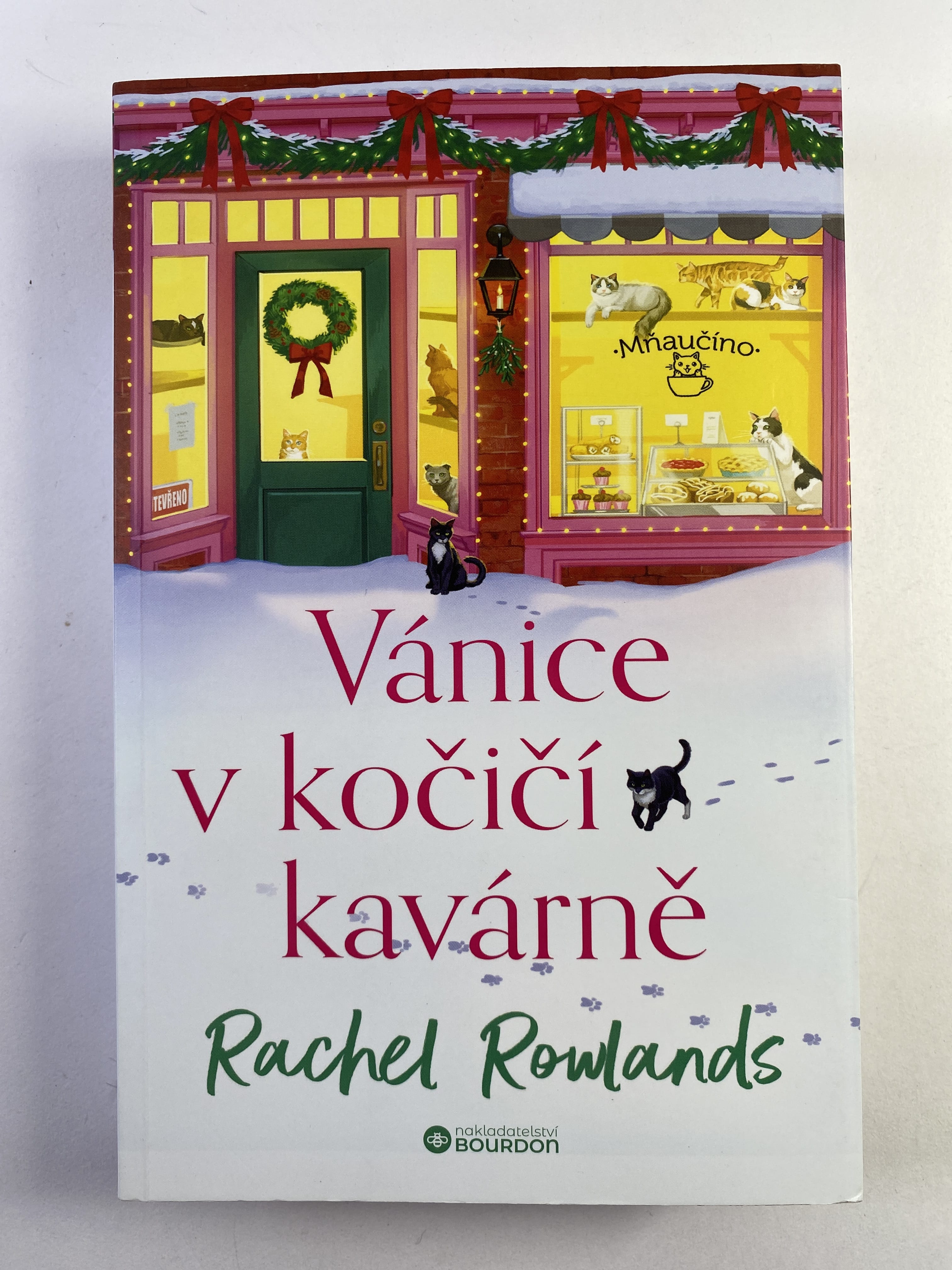 Vánice v kočičí kavárně