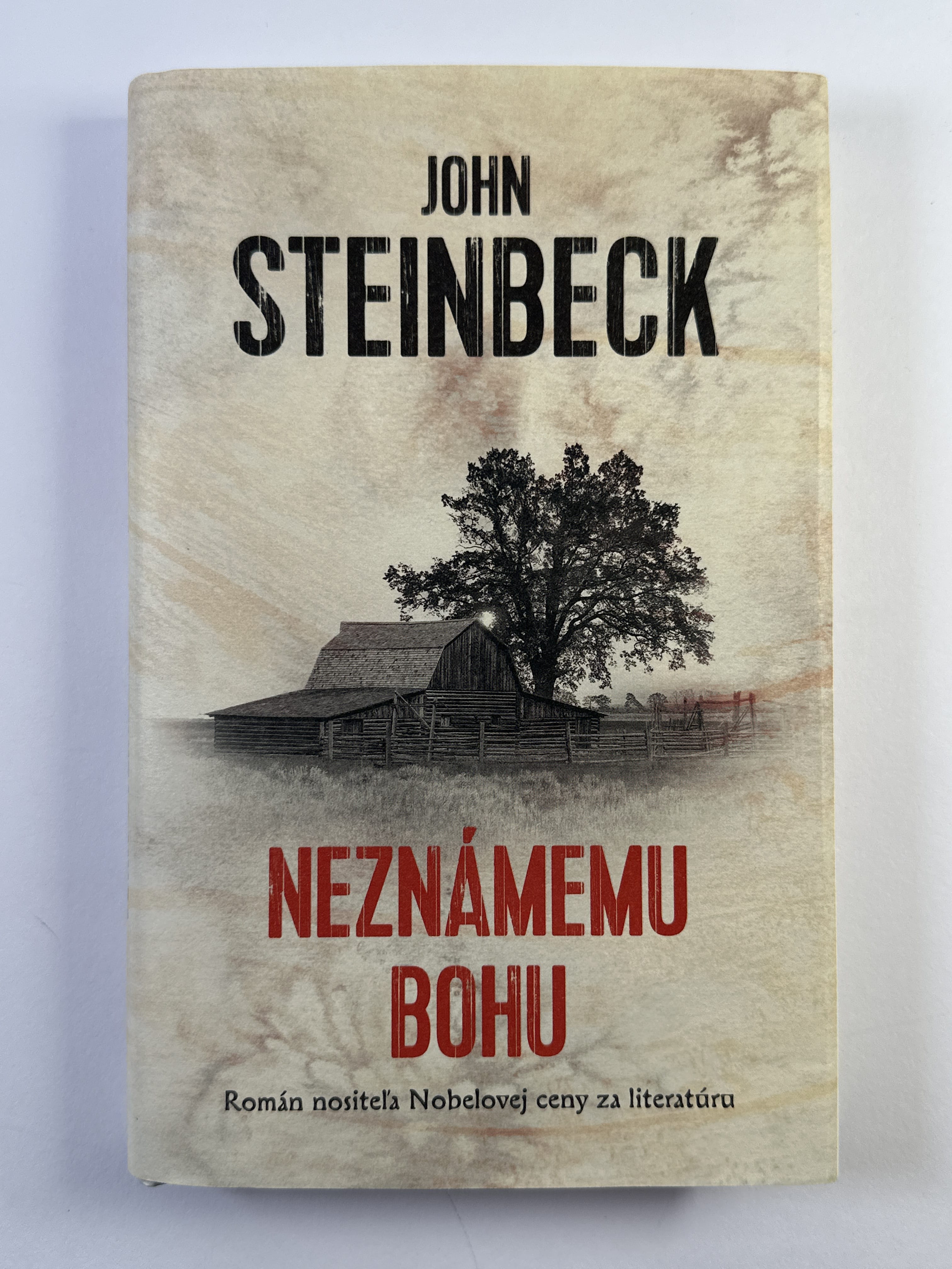 Levně Neznámemu bohu