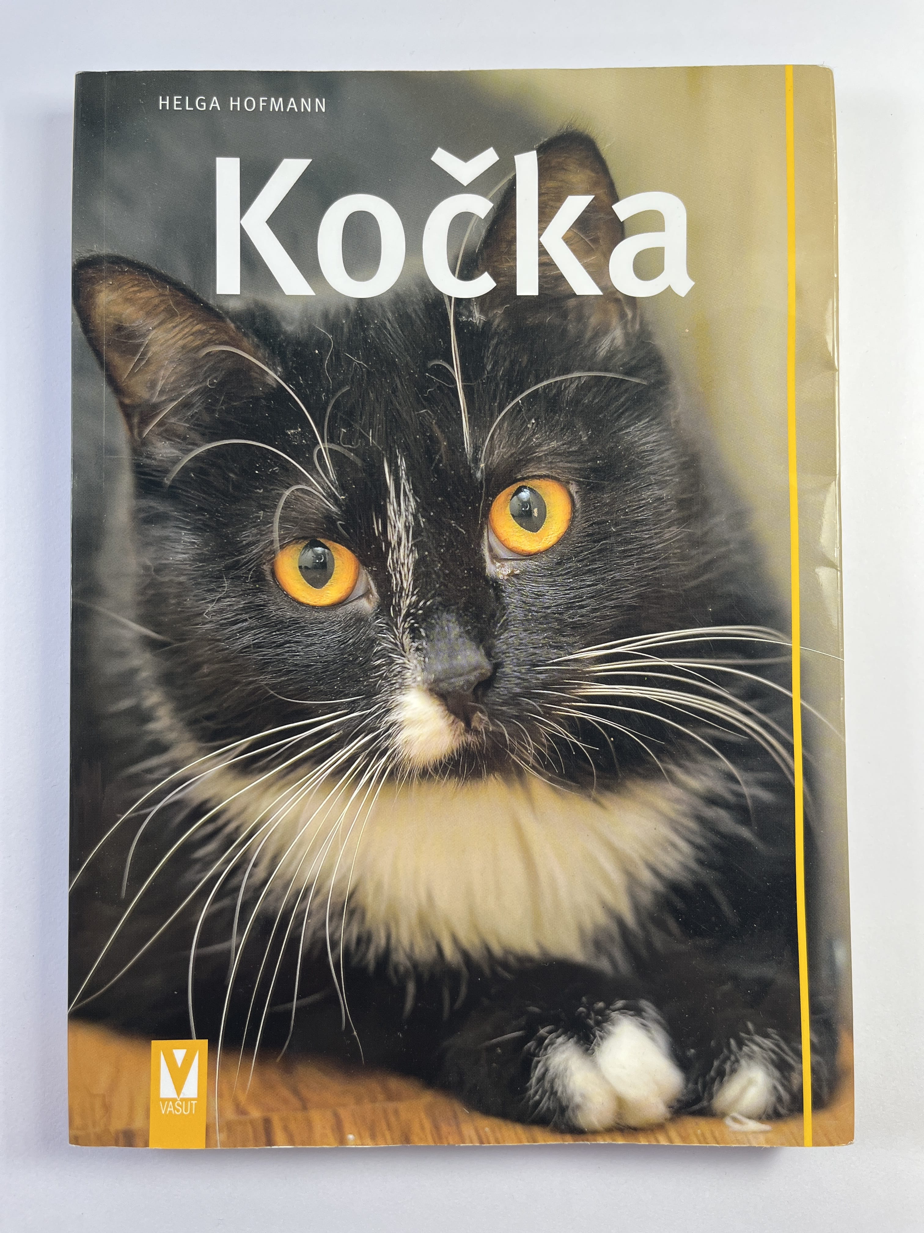 Levně Kočka